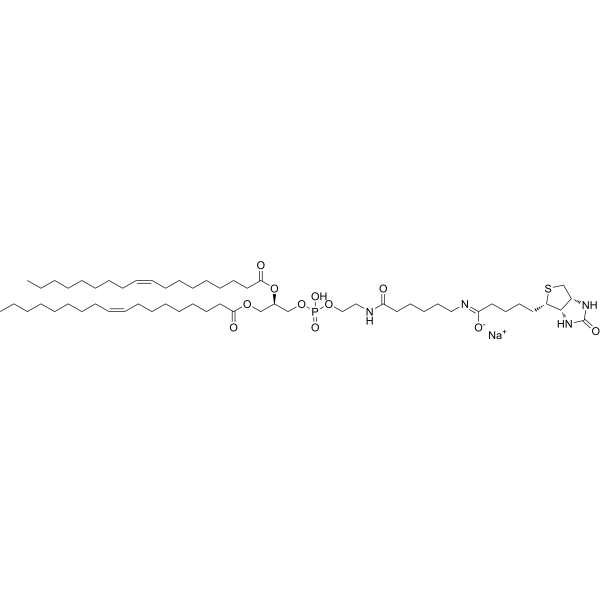 18:1 Biotinyl Cap PE 384835-51-2